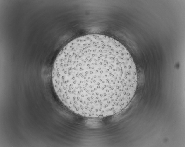 X0000116670179201001251246