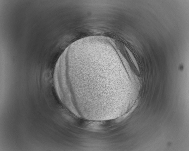 X0000116670182201001251246