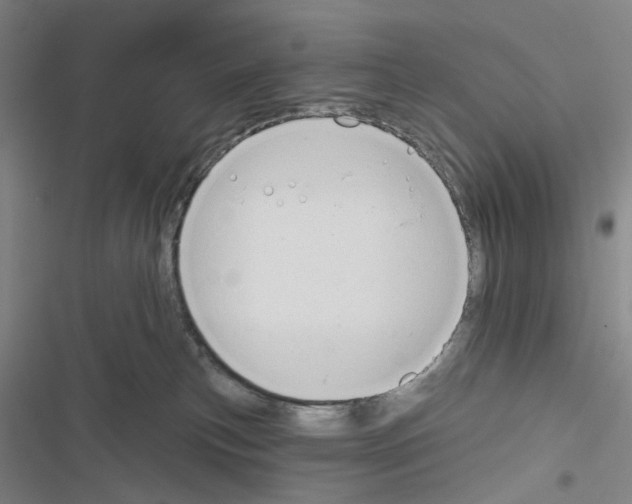 X0000116670183201001251246