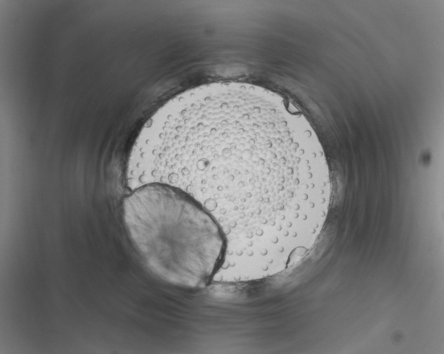 X0000116670187201001251246
