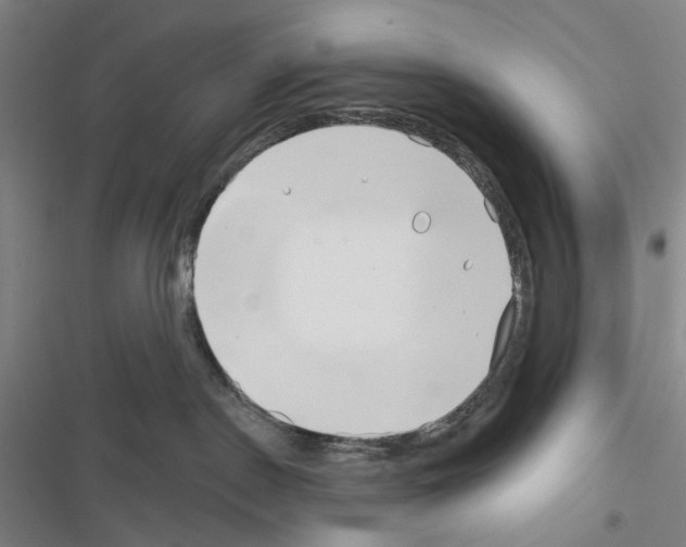 X0000116670190201001251246