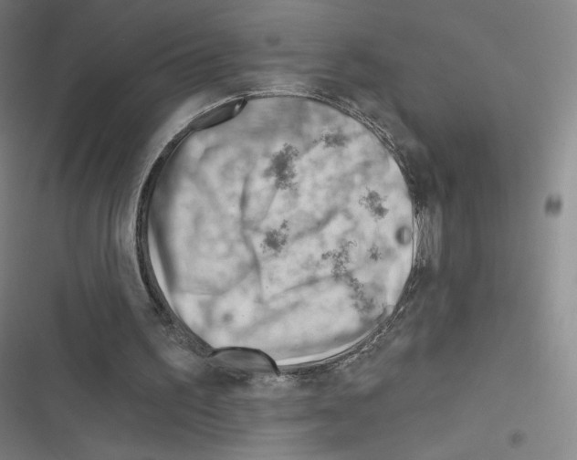 X0000116670195201001251246