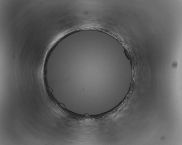 X0000116670196201001251246