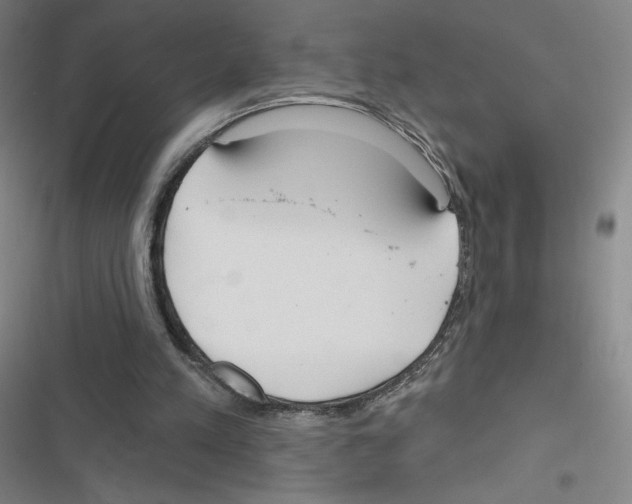 X0000116670197201001251246