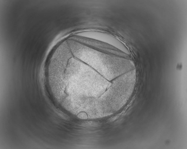 X0000116670198201001251246