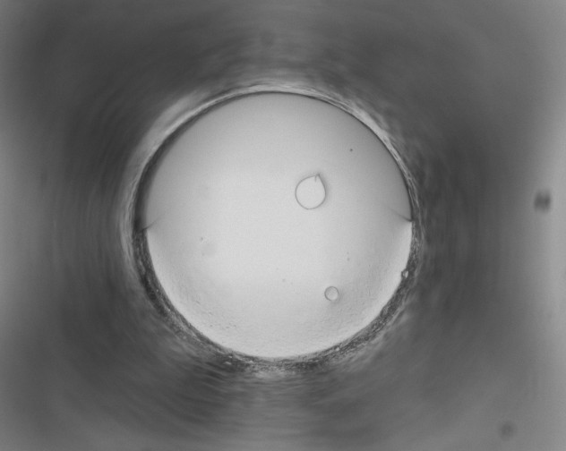 X0000116670199201001251246