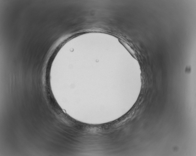 X0000116670200201001251246