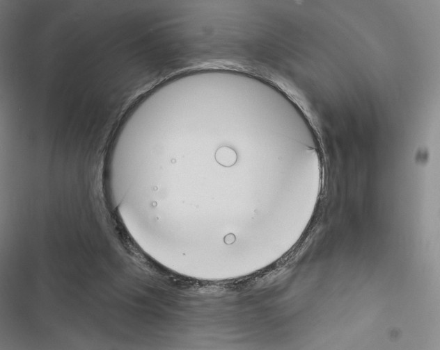 X0000116670201201001251246