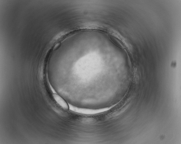 X0000116670203201001251246