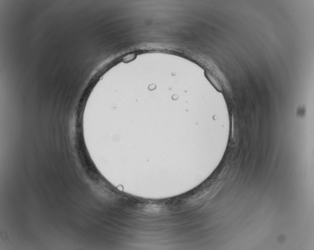 X0000116670204201001251246
