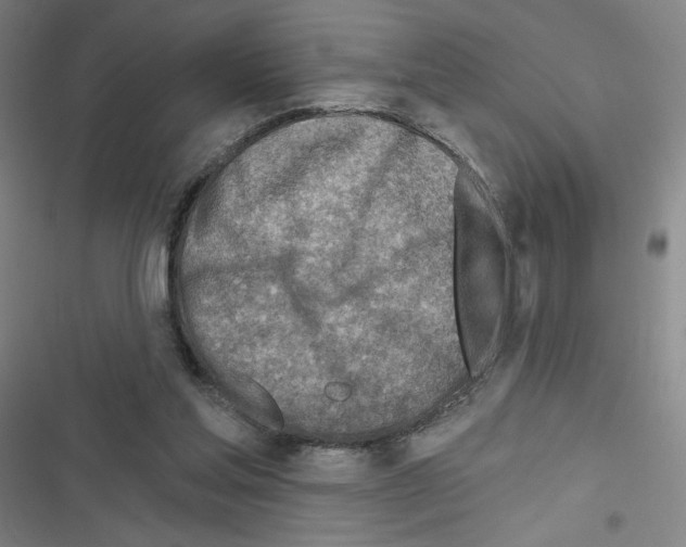 X0000116670205201001251246