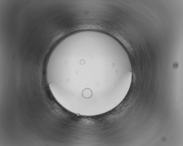 X0000116670207201001251246