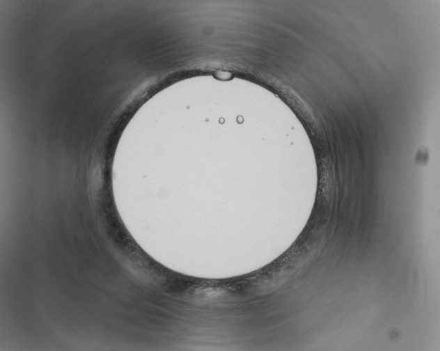 X0000116670208201001251246