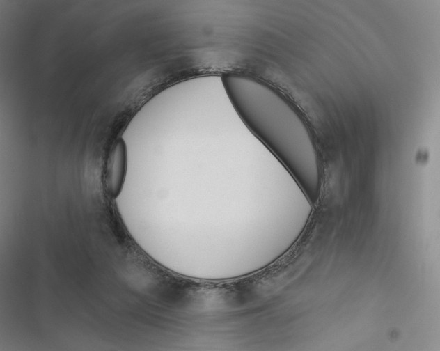 X0000116670209201001251246