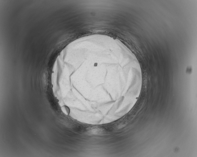 X0000116670210201001251246