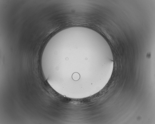 X0000116670211201001251246