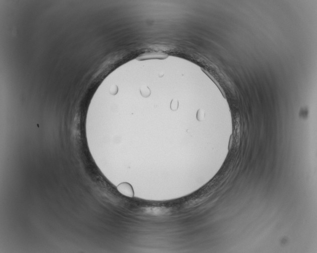 X0000116670212201001251246