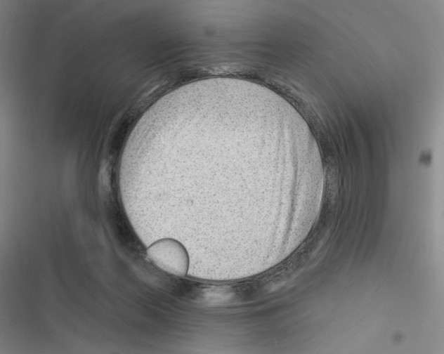X0000116670214201001251246