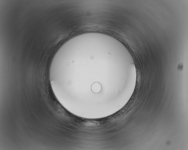 X0000116670215201001251246