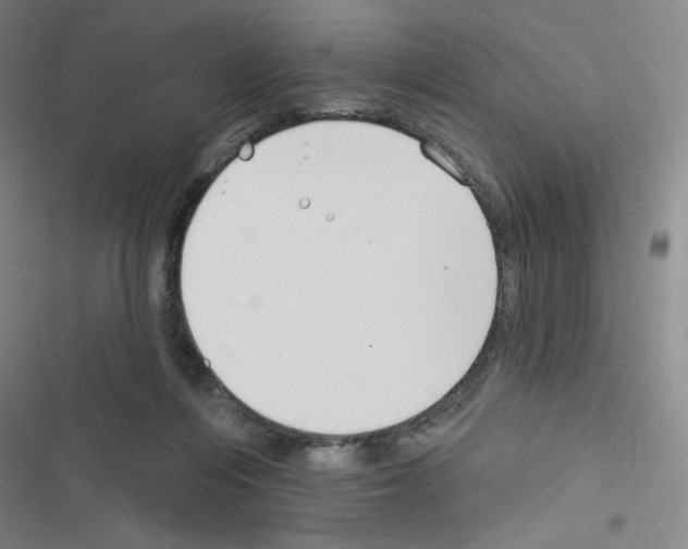 X0000116670216201001251245