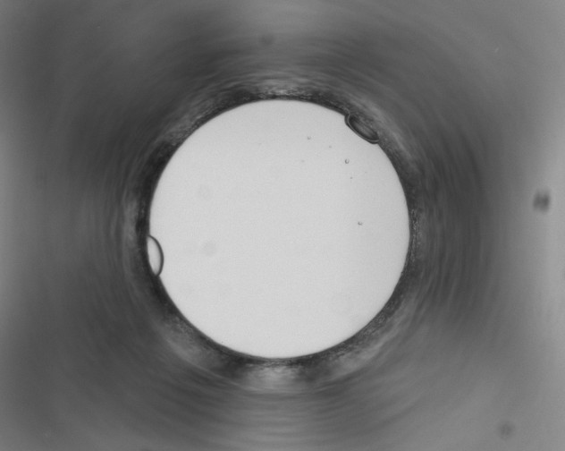 X0000116670217201001251245