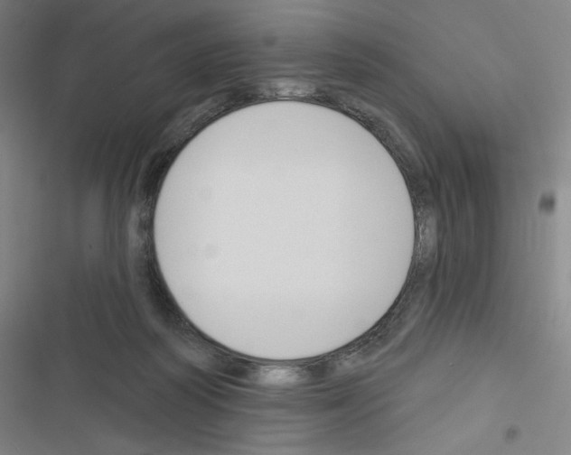 X0000116670218201001251245