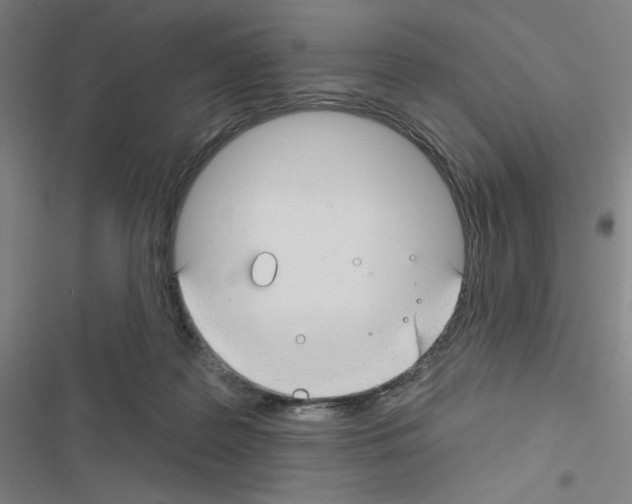 X0000116670219201001251245