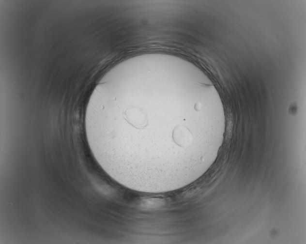 X0000116670220201001251245