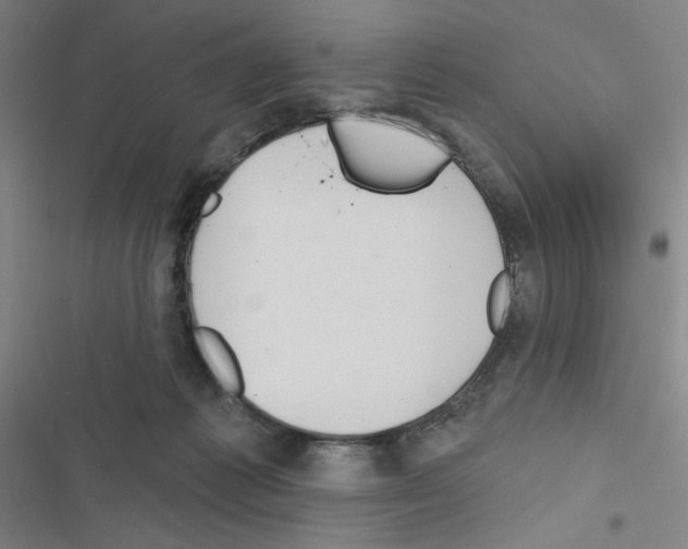 X0000116670221201001251245