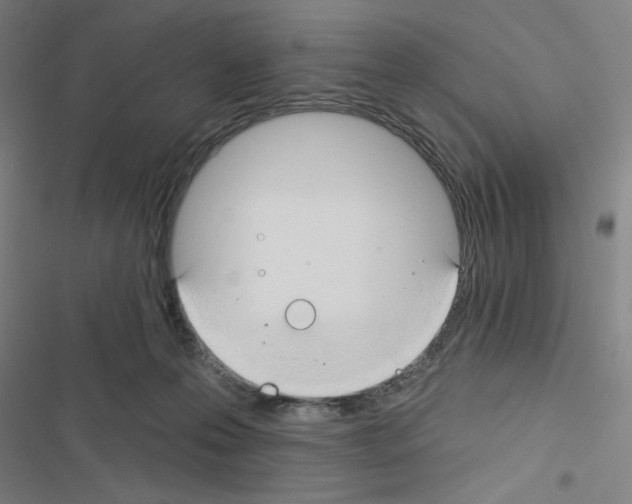 X0000116670223201001251245