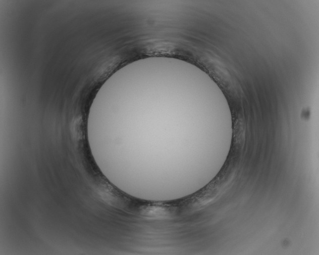 X0000116670224201001251245