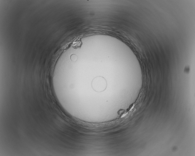 X0000116670225201001251245