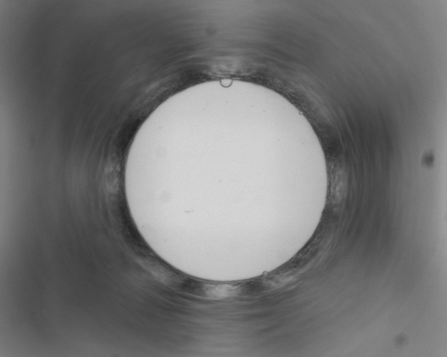 X0000116670226201001251245