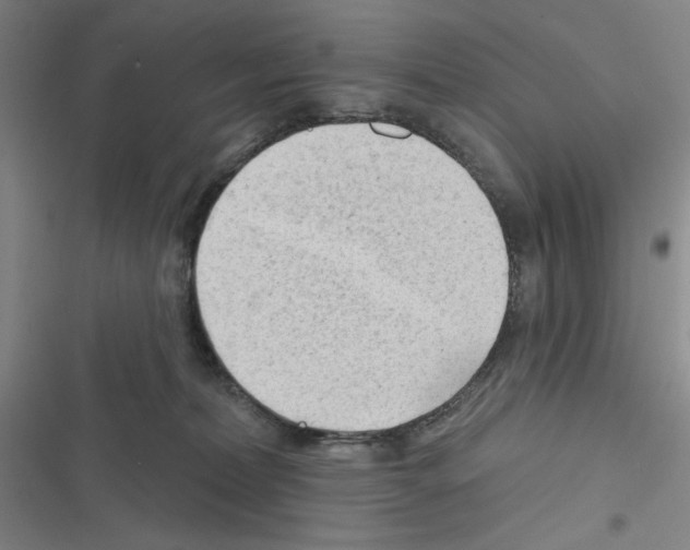 X0000116670228201001251245