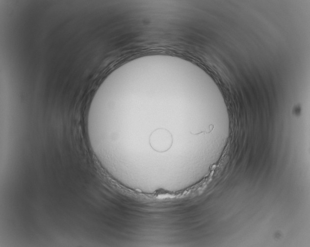 X0000116670229201001251245