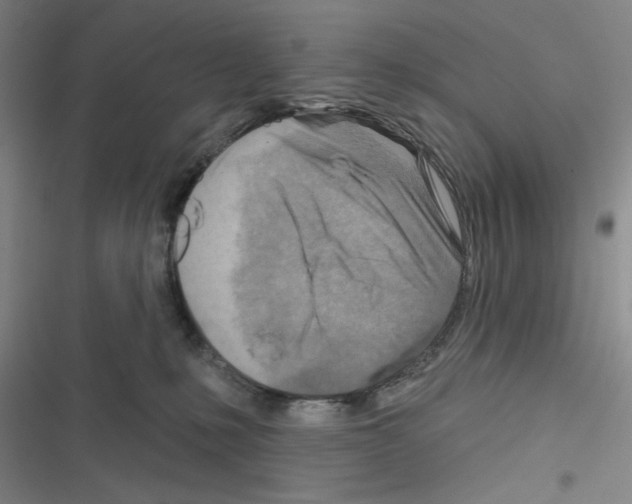 X0000116670231201001251245