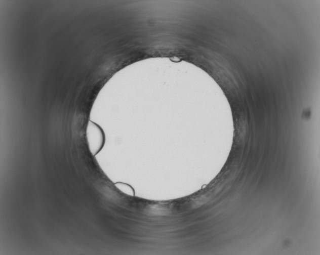 X0000116670232201001251245