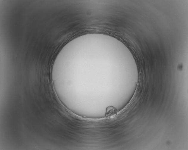 X0000116670233201001251245