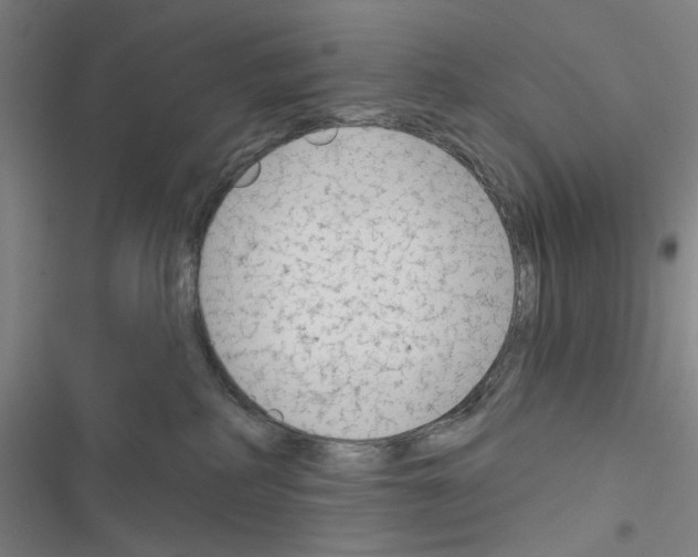 X0000116670234201001251245