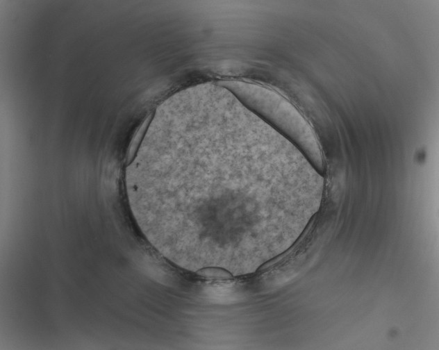 X0000116670235201001251245