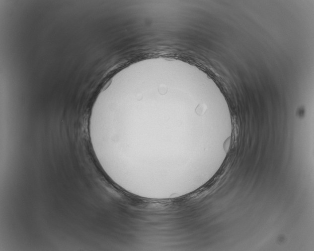 X0000116670236201001251245