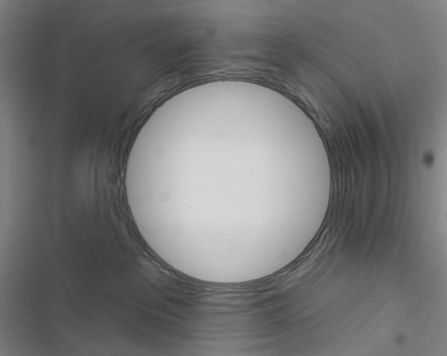 X0000116670237201001251245