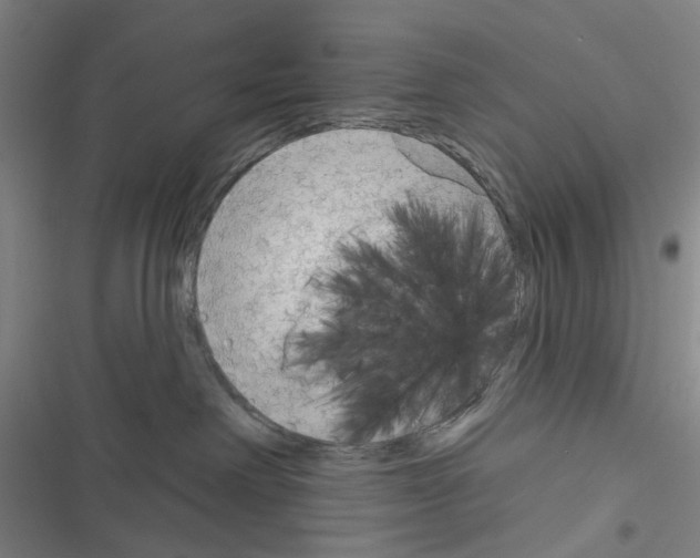 X0000116670238201001251245