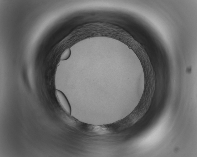X0000116670239201001251245