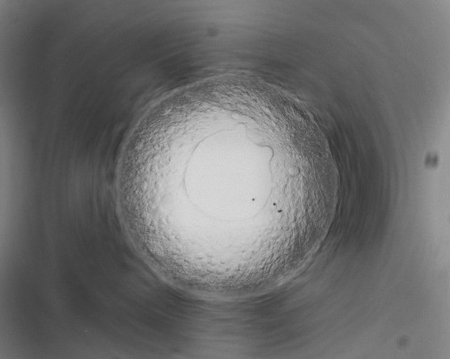 X0000116670240201001251245