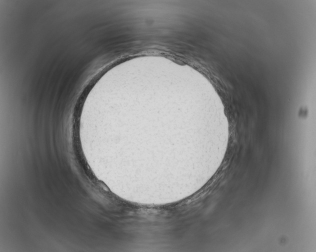 X0000116670242201001251245