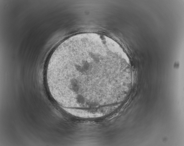 X0000116670243201001251245
