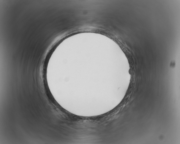 X0000116670244201001251245