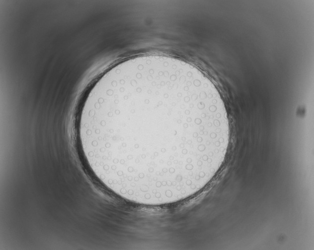 X0000116670245201001251245