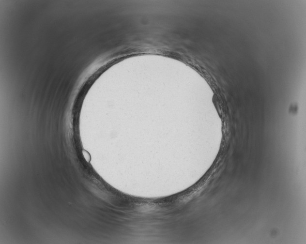 X0000116670246201001251245